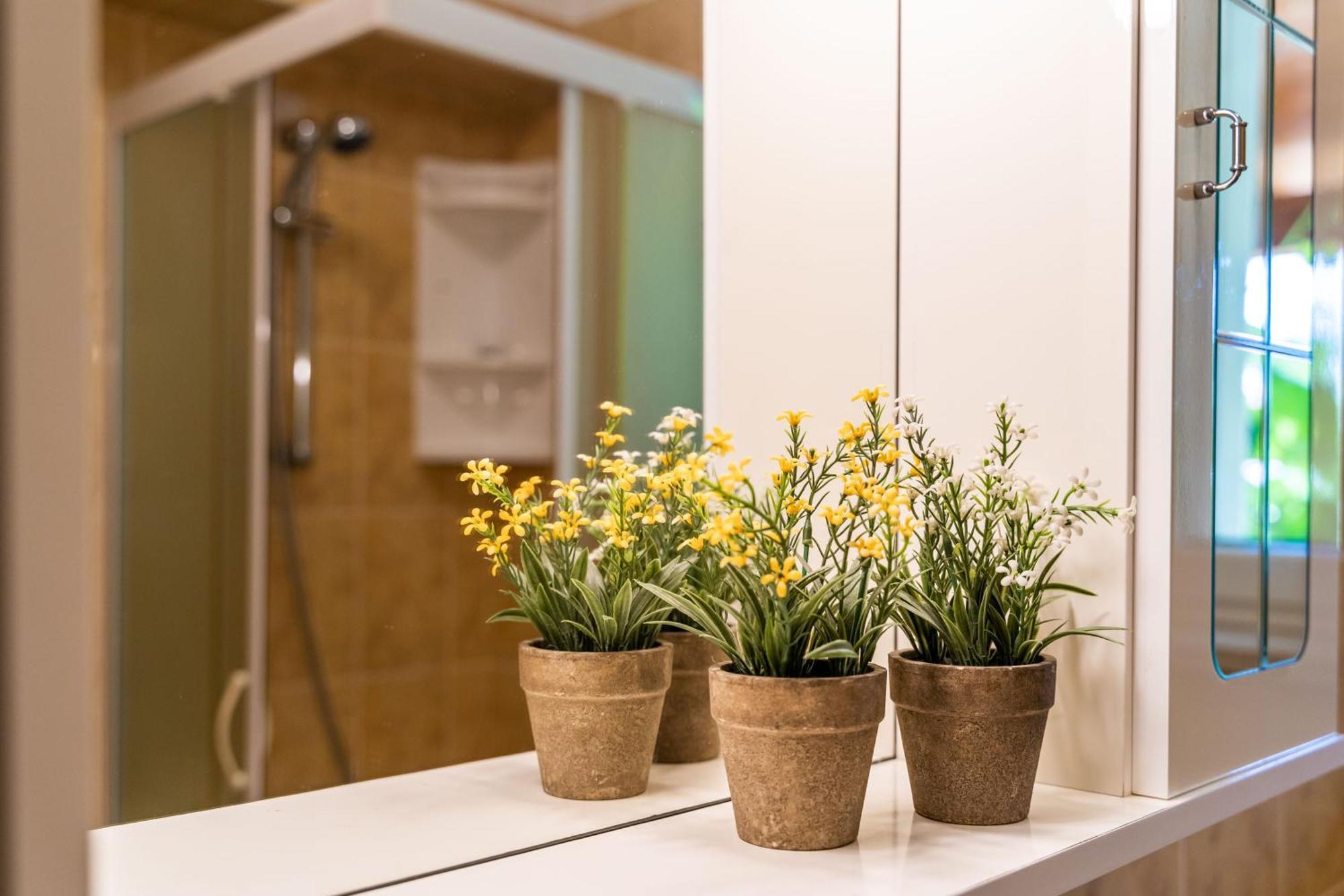 Apartments & Room Frane Dubrovnik Chambre photo